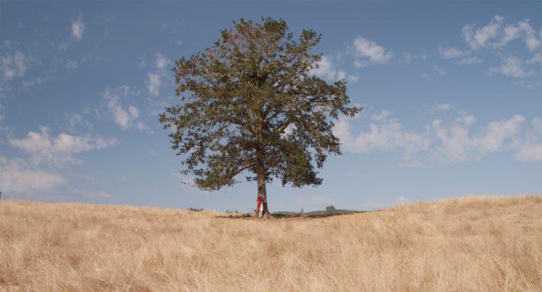 What Empathetic Content Writing Can Do for You