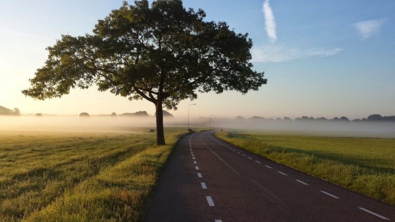 A road heads off into the distance