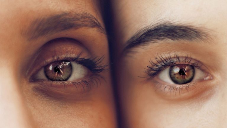 left-brain right-brain myth
