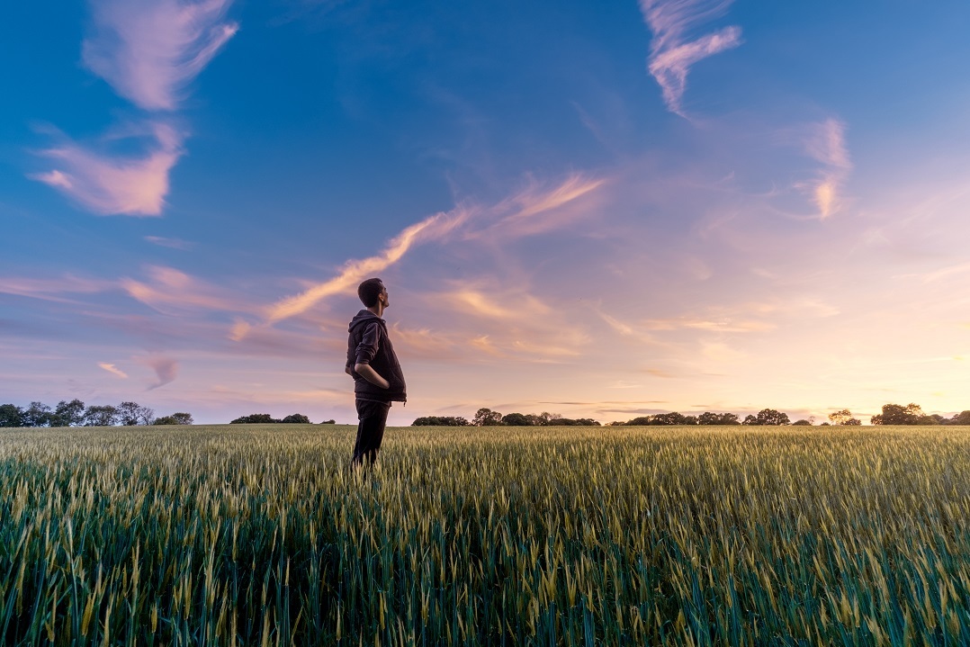 A man standing in a farm field looking up at the sky