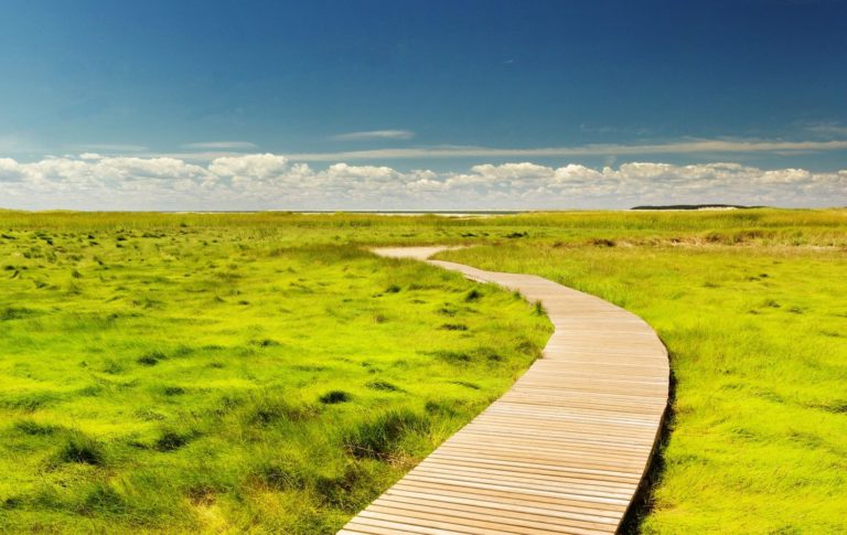Wellfleet, United States