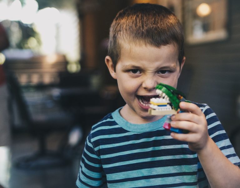 Boy plays with a toy made of blocks resembling a T-rex