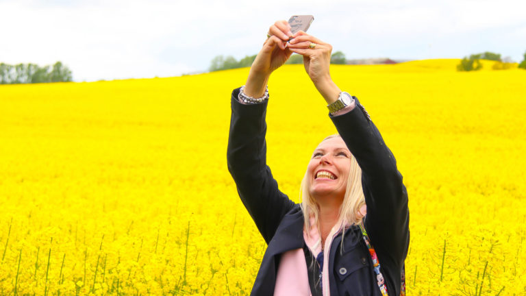 Woman taking selfie in yellow field