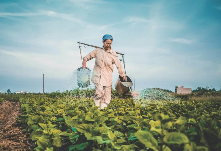 woman watering plants