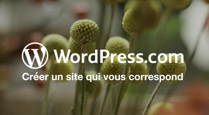 Video: French WordPress.com Ad