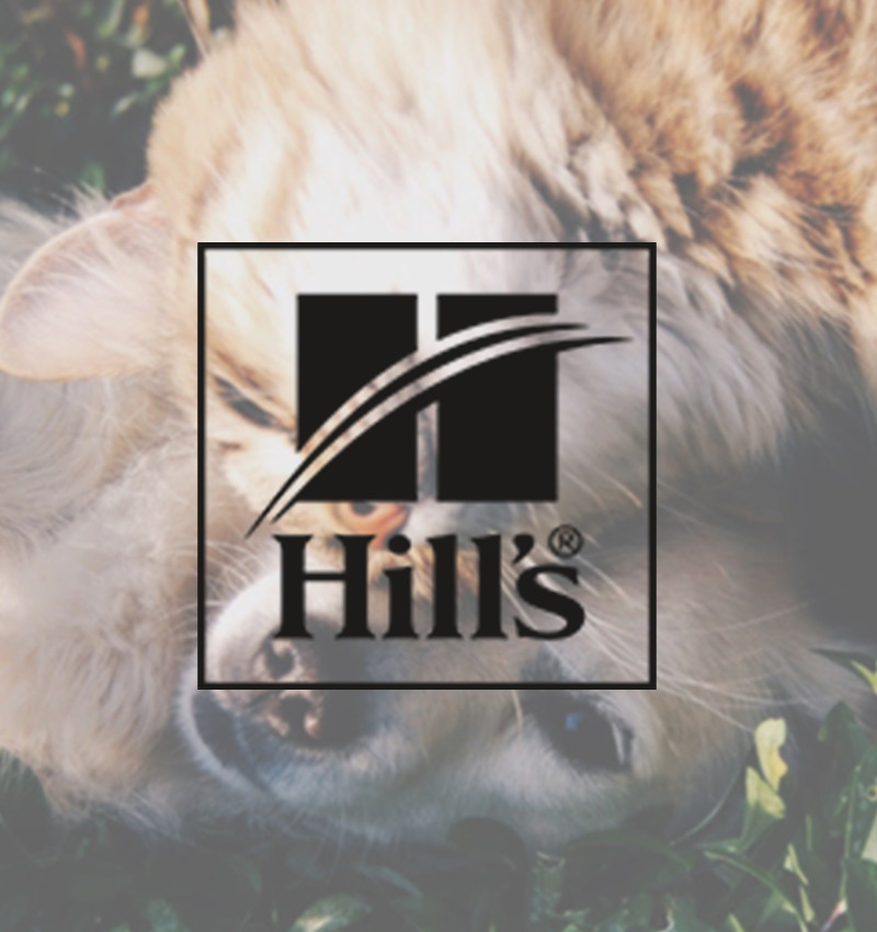 How Hill's Pet Nutrition Outranked the Competition with SEO Skyword