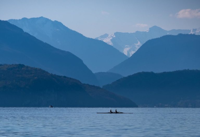 Silhouette of rowers on a lake