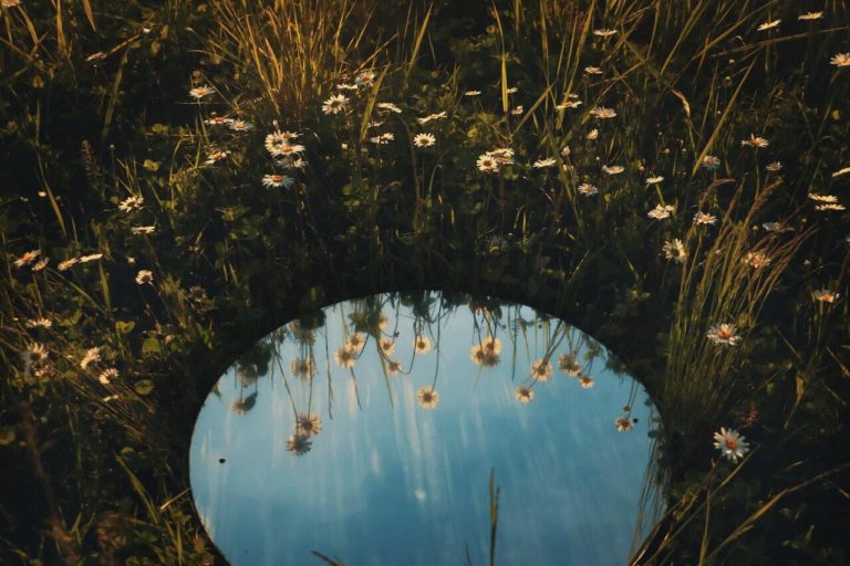Mirror in field of flowers