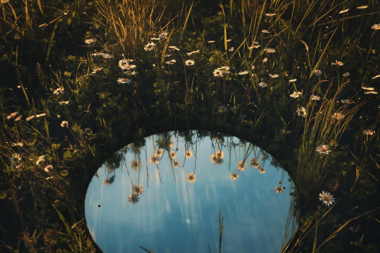 Mirror in field of flowers