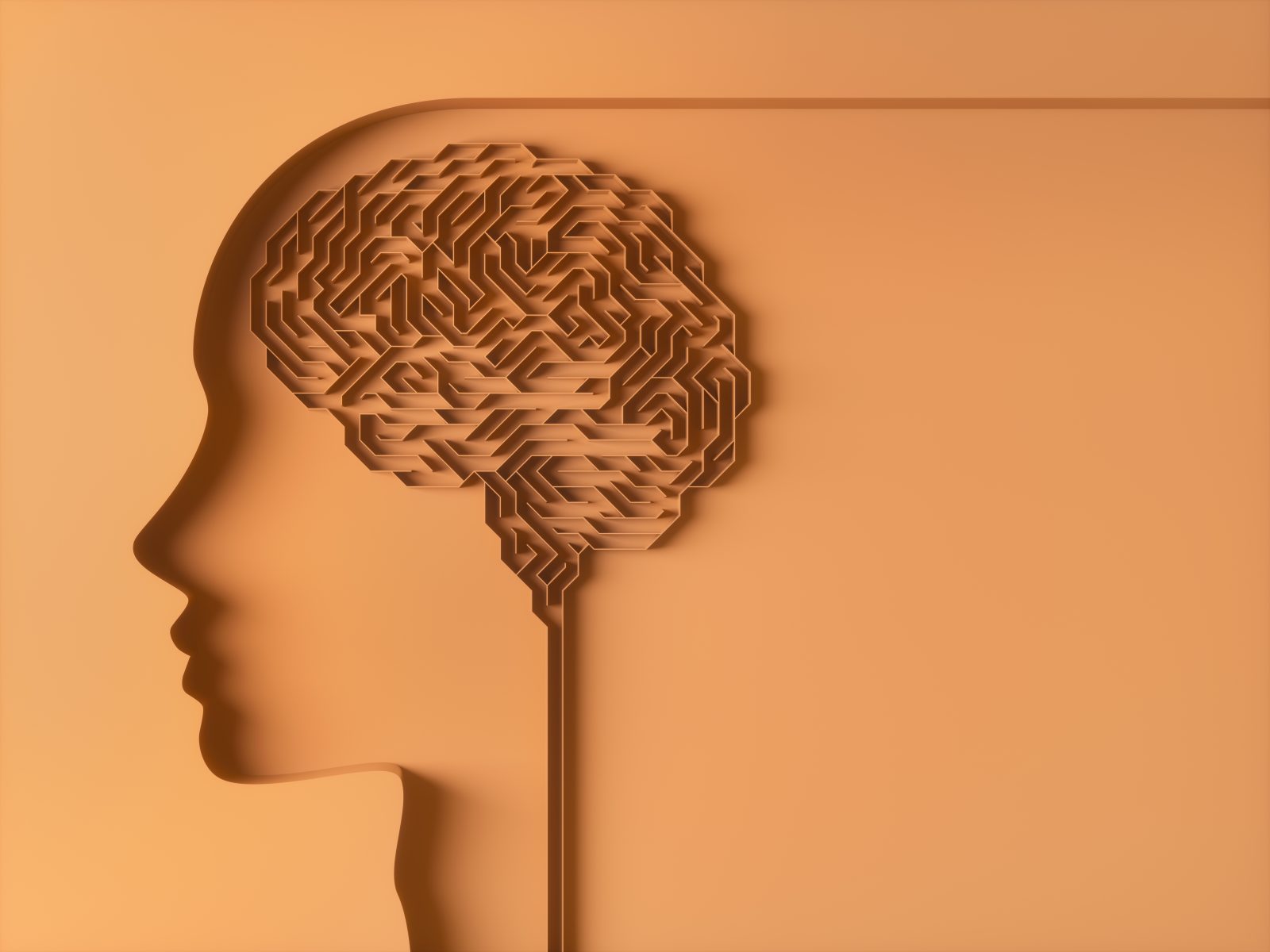 maze brain