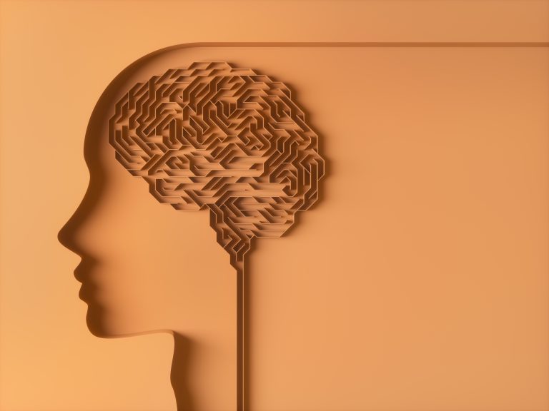 maze brain